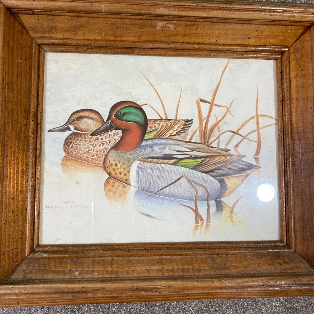 Vintage Duck print